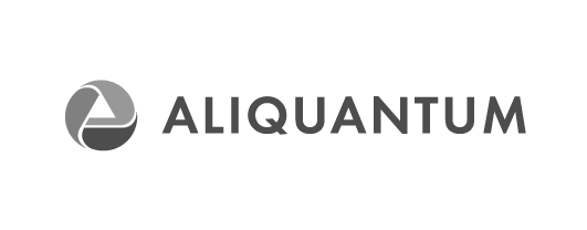 Aliquantum